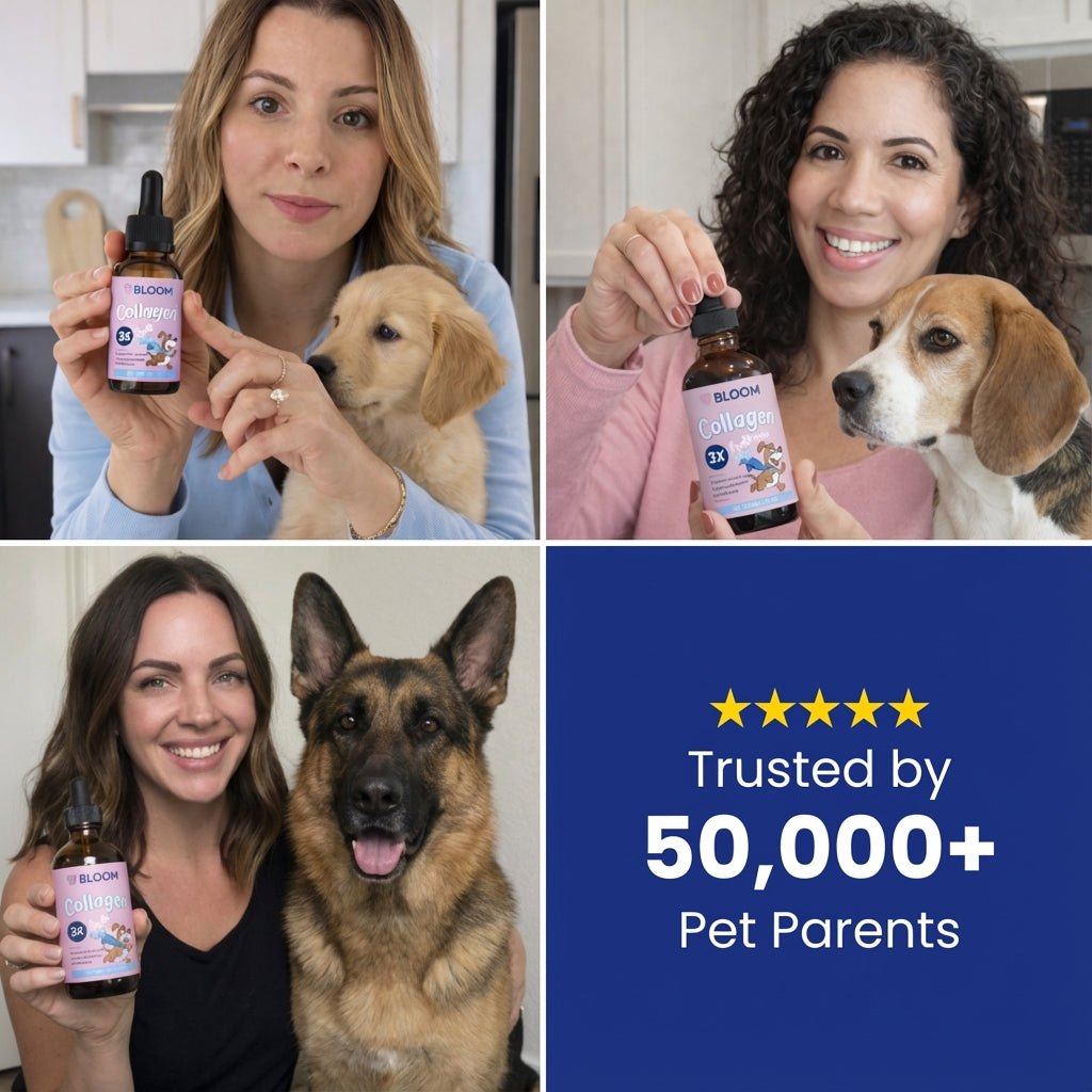 Bloom Triple Collagen - Quiz Discount