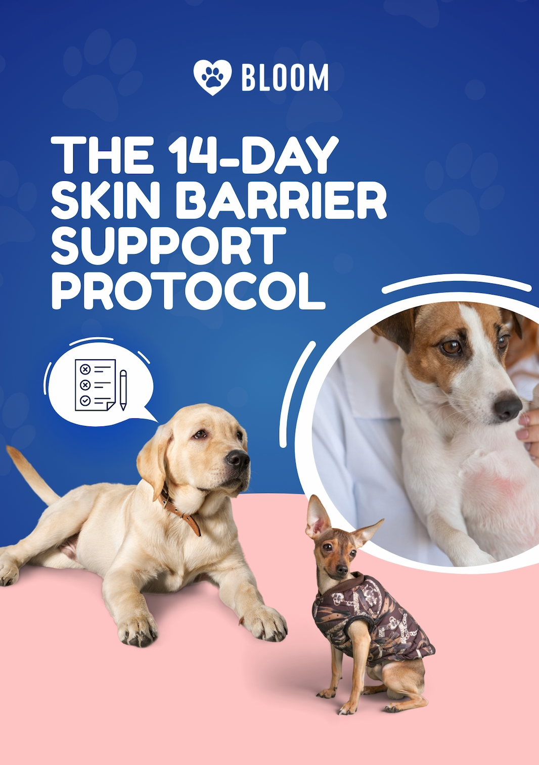 The 14-Day Skin Barrier Support Protocol