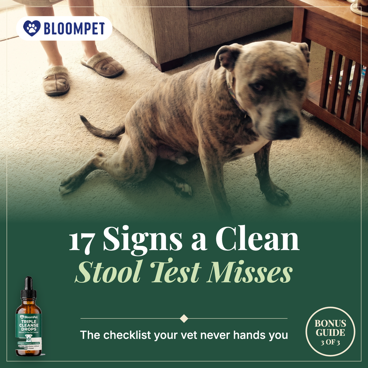 17 Signs a Clean Stool Test Misses bonus guide