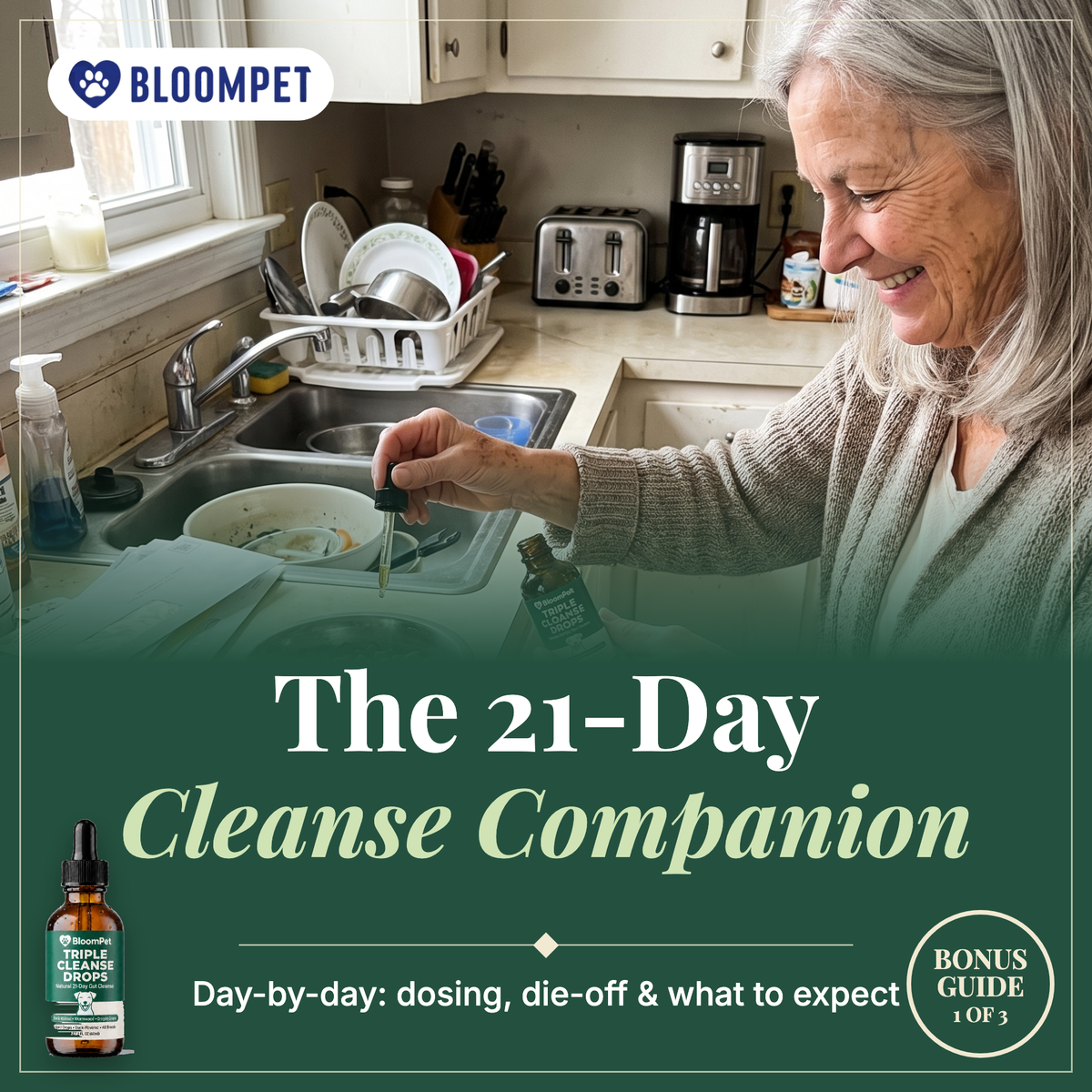The 21-Day Cleanse Companion bonus guide