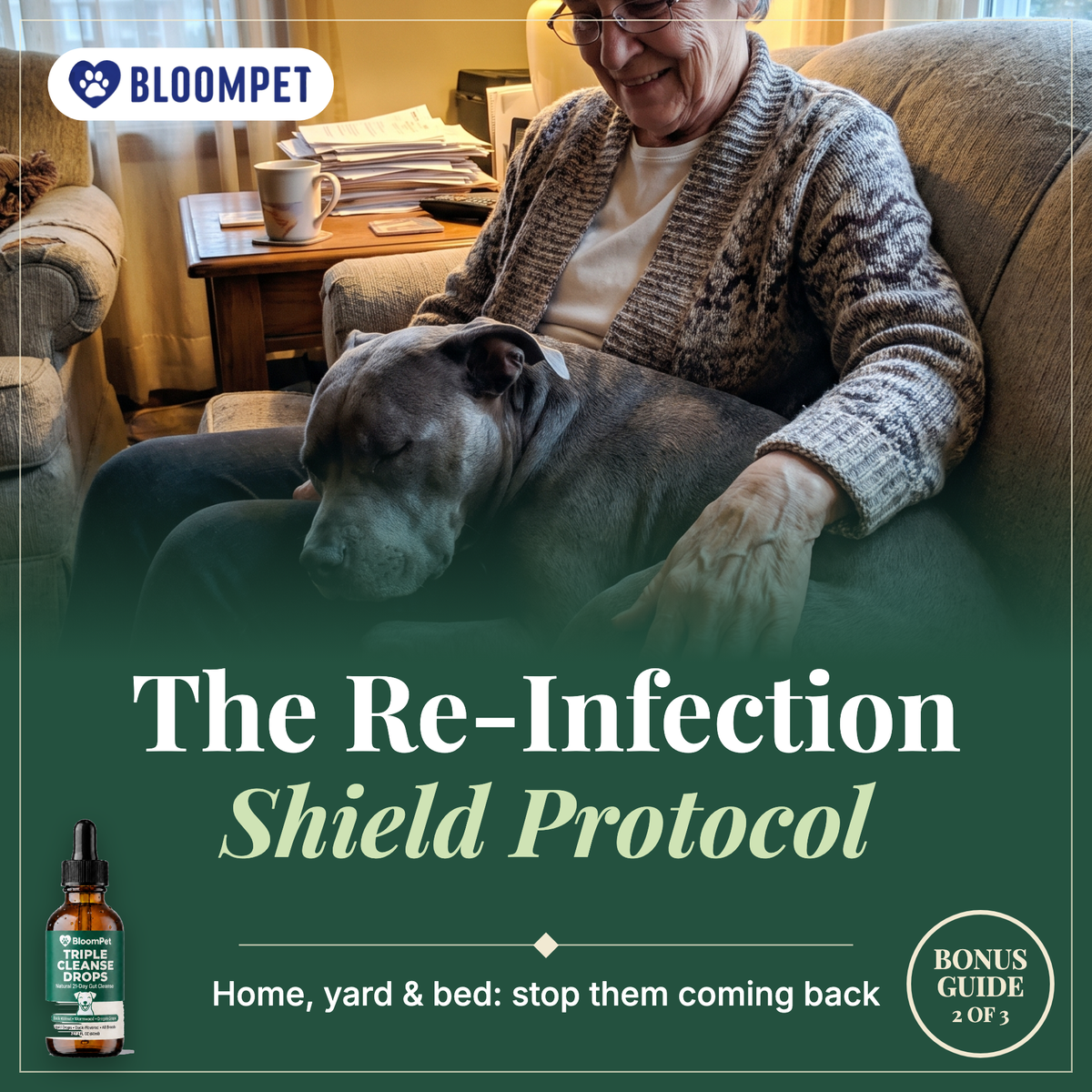 The Re-Infection Shield Protocol bonus guide