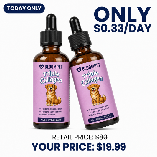 Bundle 2x - Bloom Triple Collagen