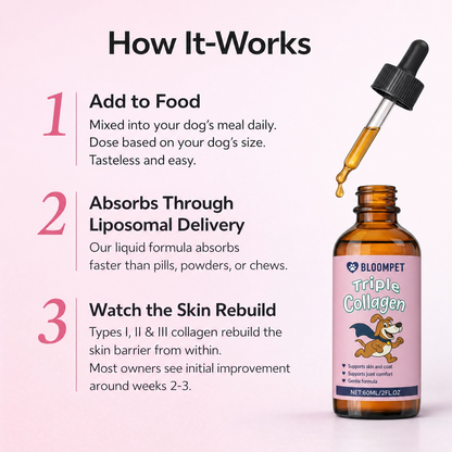 Bloom Triple Collagen - Loop Testing