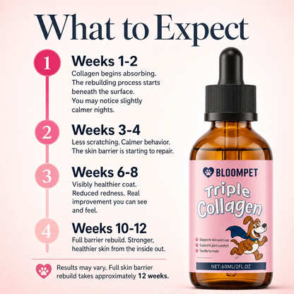 Bloom Triple Collagen - Loop Testing