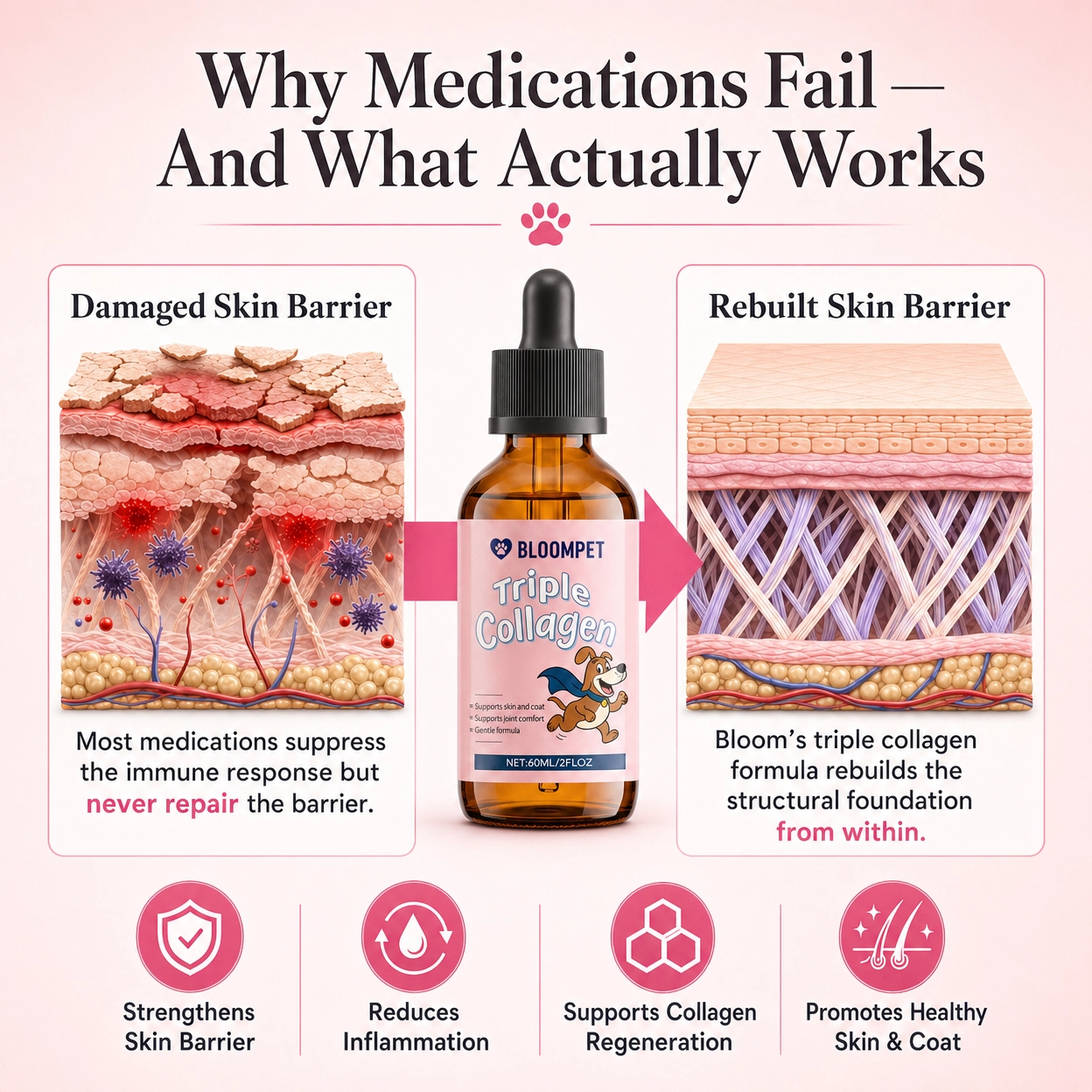 Bloom Triple Collagen