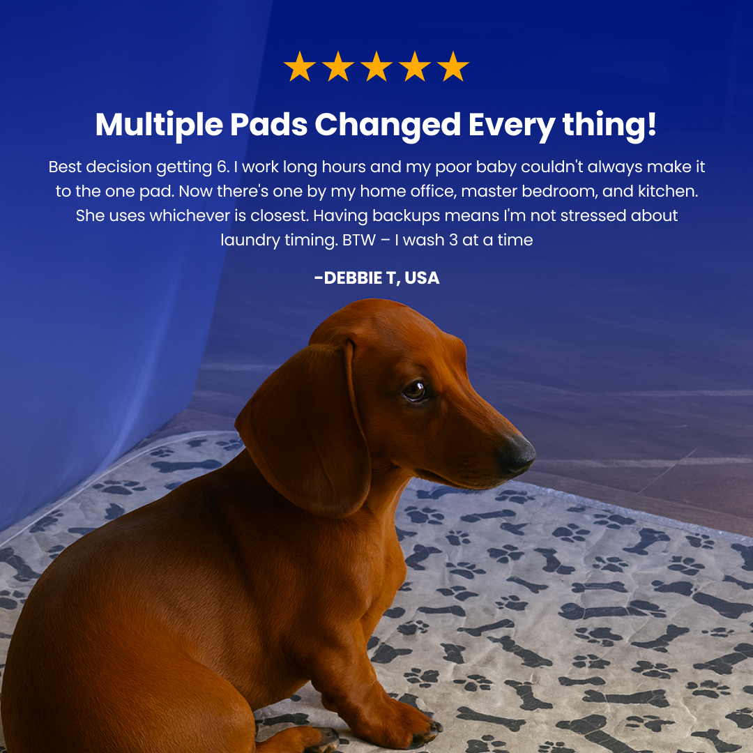 BloomPad 2.0 - The Pee Pad Dogs Actually Use