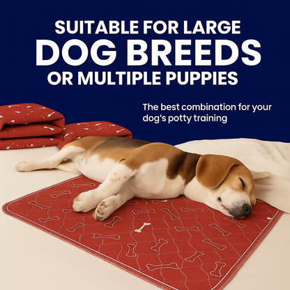 BloomPad 2.0 - The Pee Pad Dogs Actually Use