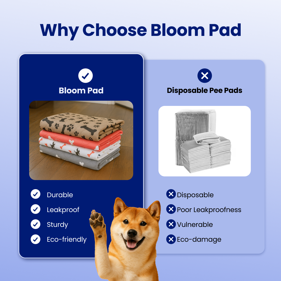 BloomPad 2.0 - The Pee Pad Dogs Actually Use
