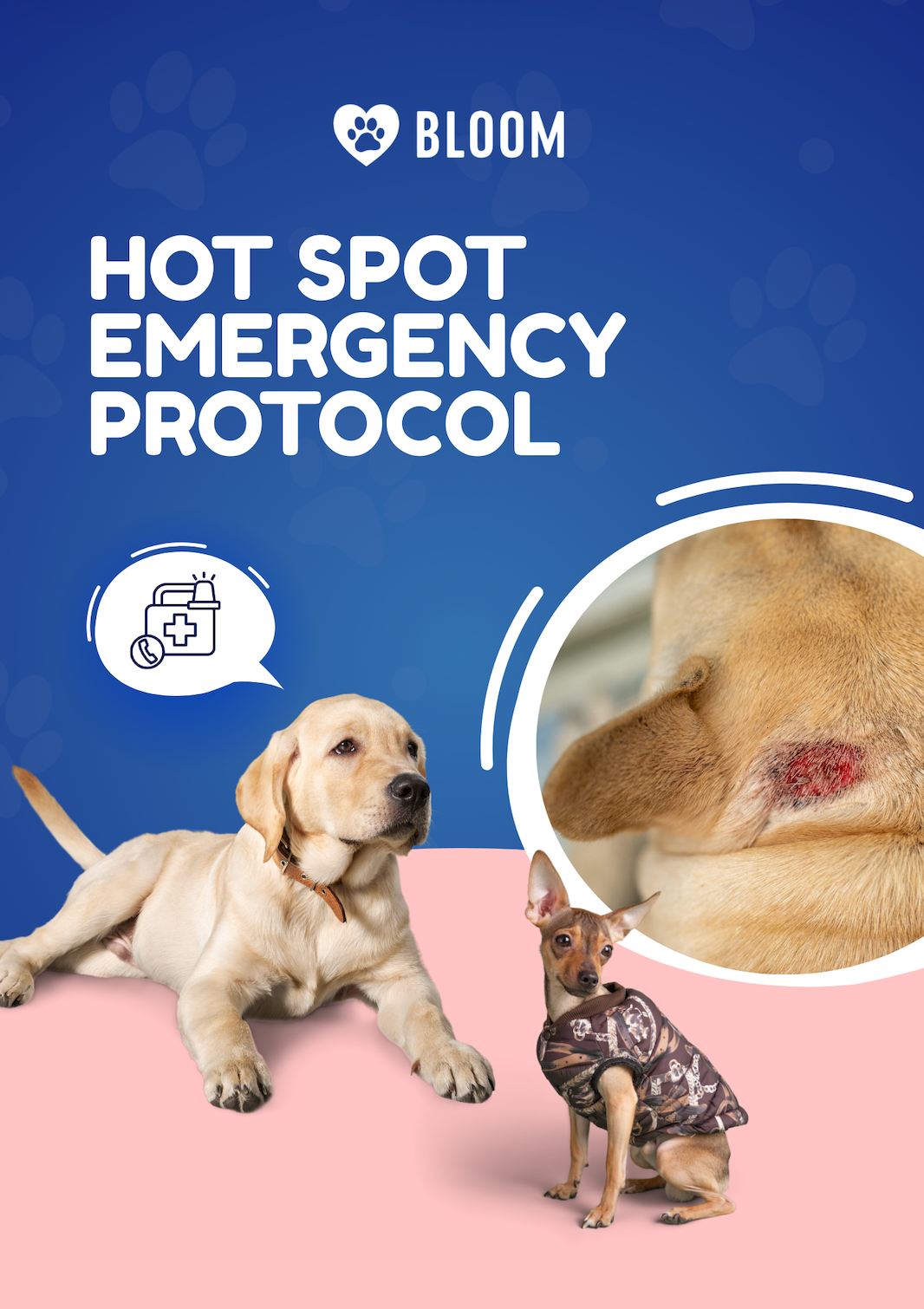 Hot Spot Emergency Protocol