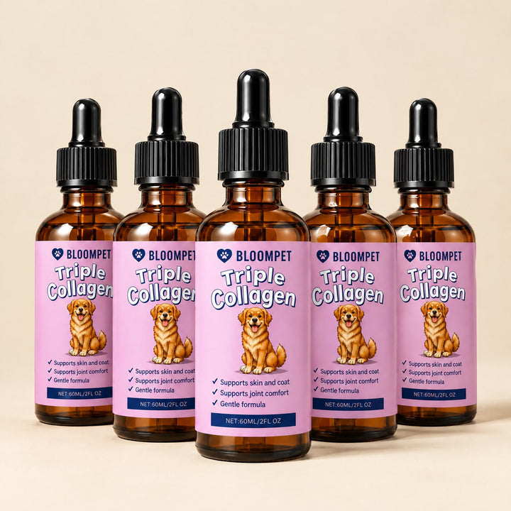 Bloom Triple Collagen 5-bottle course