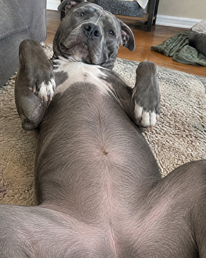 Roxy, 9 after