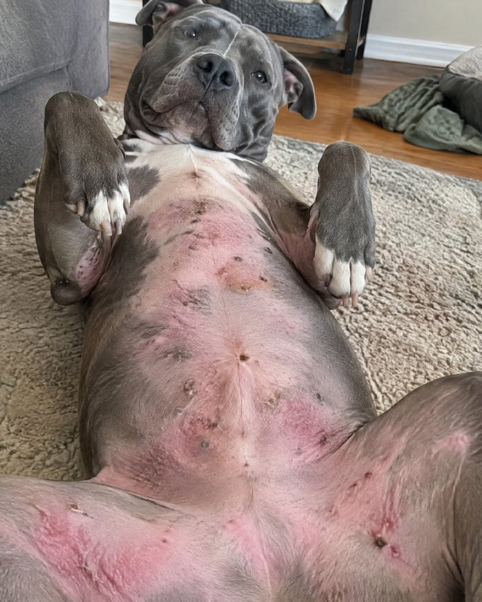 Roxy, 9 before