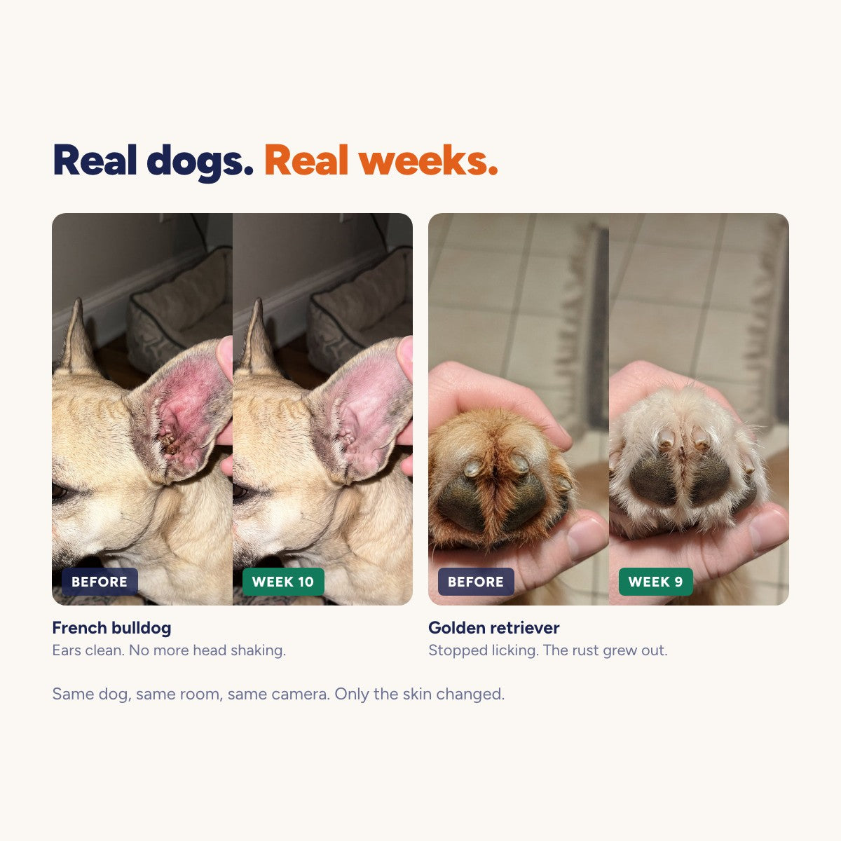 Before and after: ears at week 10, paws at week 9