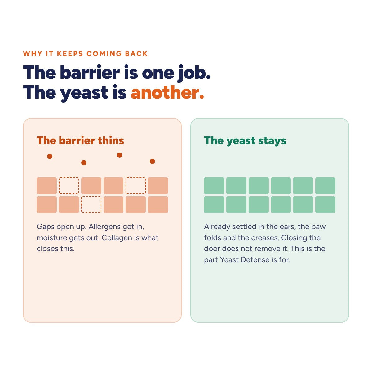 The barrier is one job, the yeast is another
