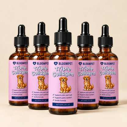 5-bottle course