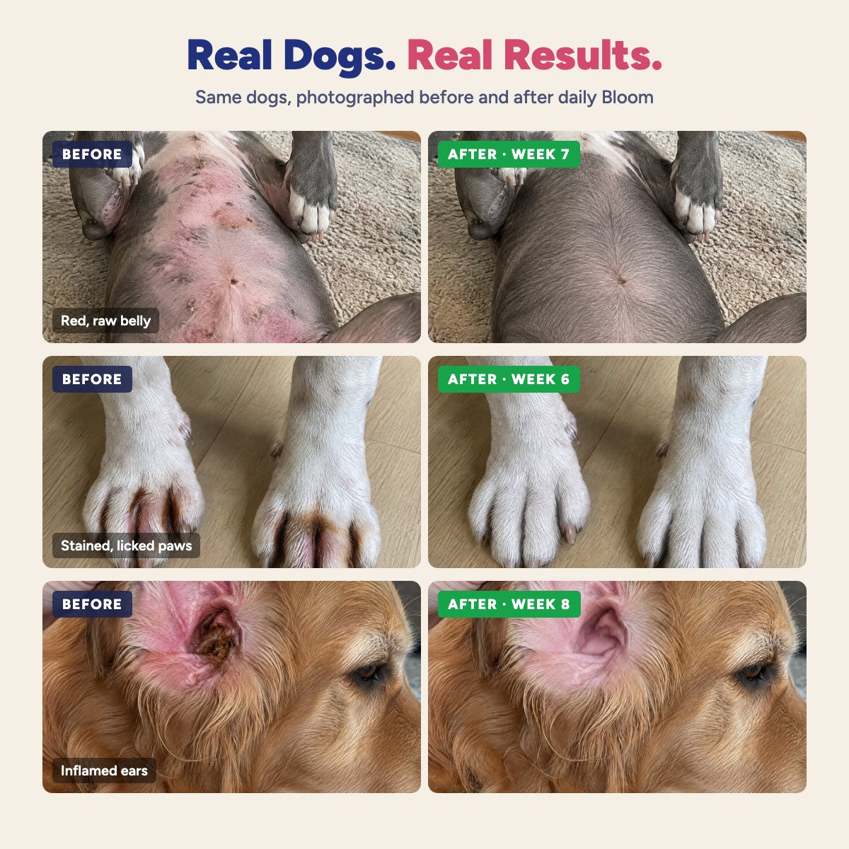 Before and after: belly, paws and ears