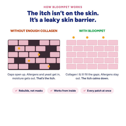 How BloomPet works: rebuilding the skin barrier