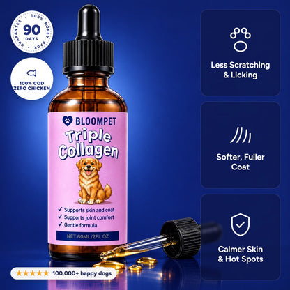 BloomPet Triple Collagen: less scratching, softer coat, calmer skin