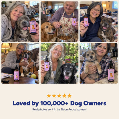 Loved by 100,000+ dog owners: customer photos
