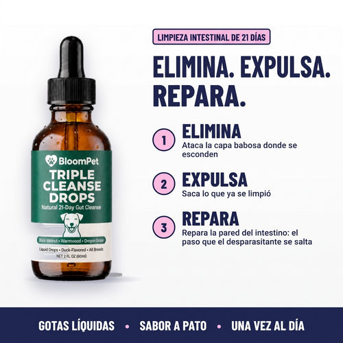 Limpieza Triple de Parásitos BloomPet: elimina, expulsa, repara