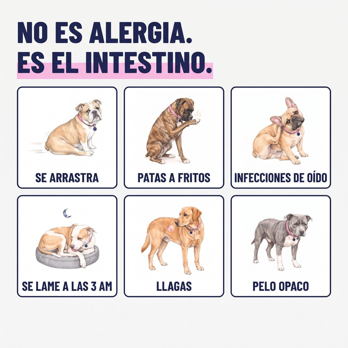 No es alergia, es el intestino: señales de parásitos