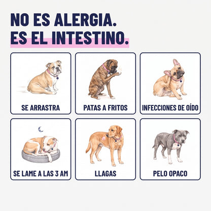 No es alergia, es el intestino: señales de parásitos