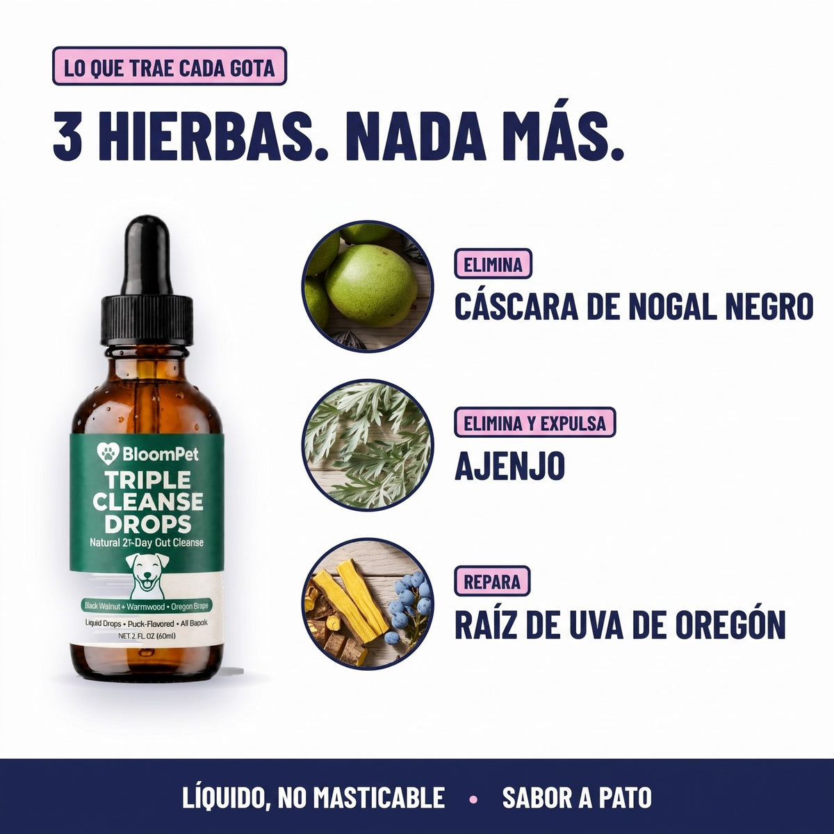 3 hierbas: nogal negro, ajenjo y raíz de uva de Oregón