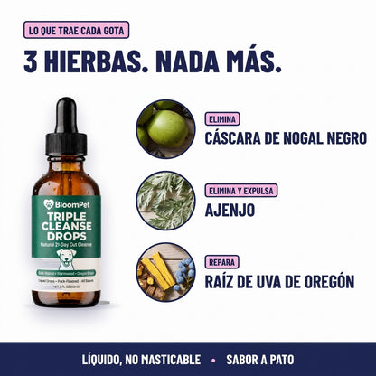 3 hierbas: nogal negro, ajenjo y raíz de uva de Oregón