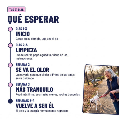 Qué esperar en los 21 días