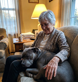 Un pit bull dormido junto a su dueño en el sillón