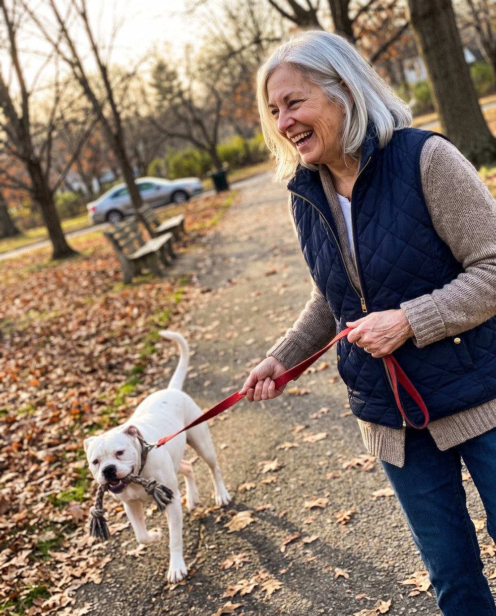 Una señora de pelo canoso riéndose mientras su bulldog americano blanco la jala por un camino del parque con un juguete