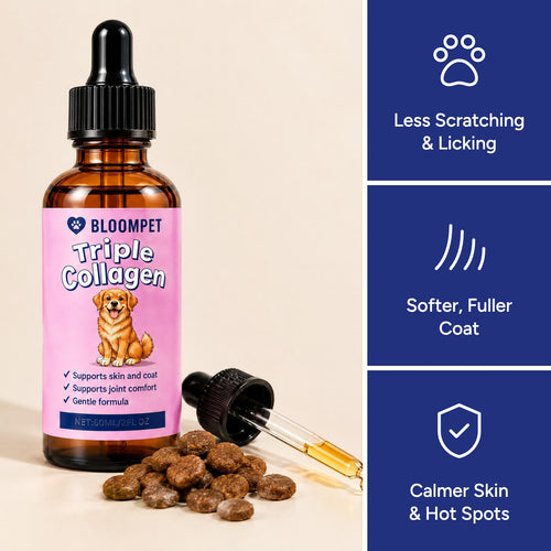 Bloom Triple Collagen