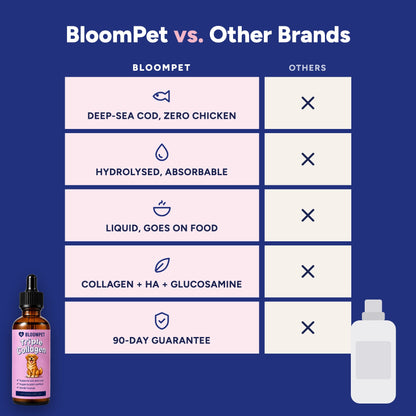 BloomPet vs other brands