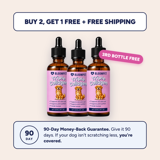 Buy 2 get 1 free BloomPet Triple Collagen