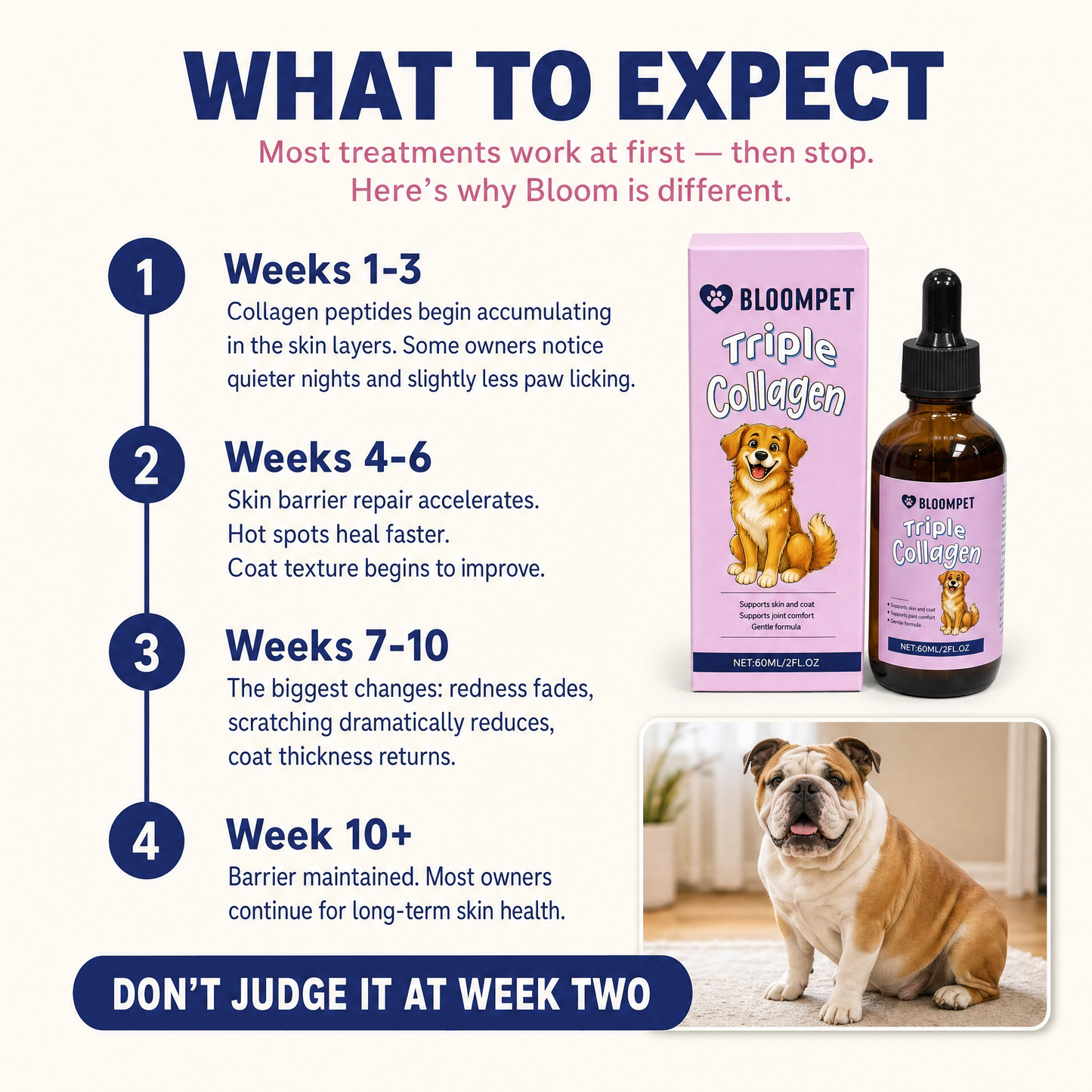 Bloom Triple Collagen