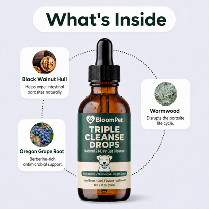 Bloom Triple Parasite Cleanse - 50% OFF