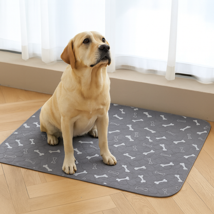 BloomPad 2.0 - The Pee Pad Dogs Actually Use