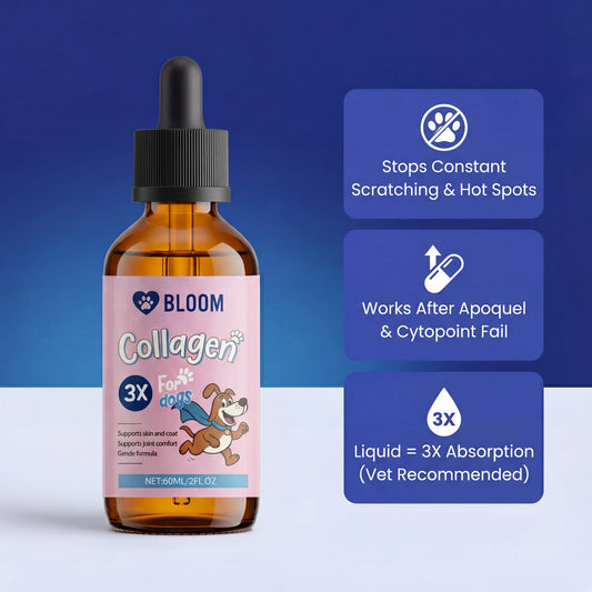 Bloom Triple Collagen