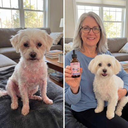 Bloom Triple Collagen