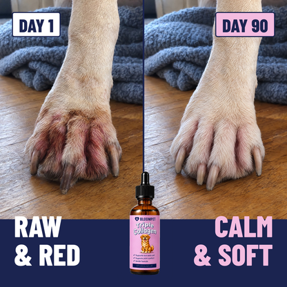 Bloom Triple Collagen