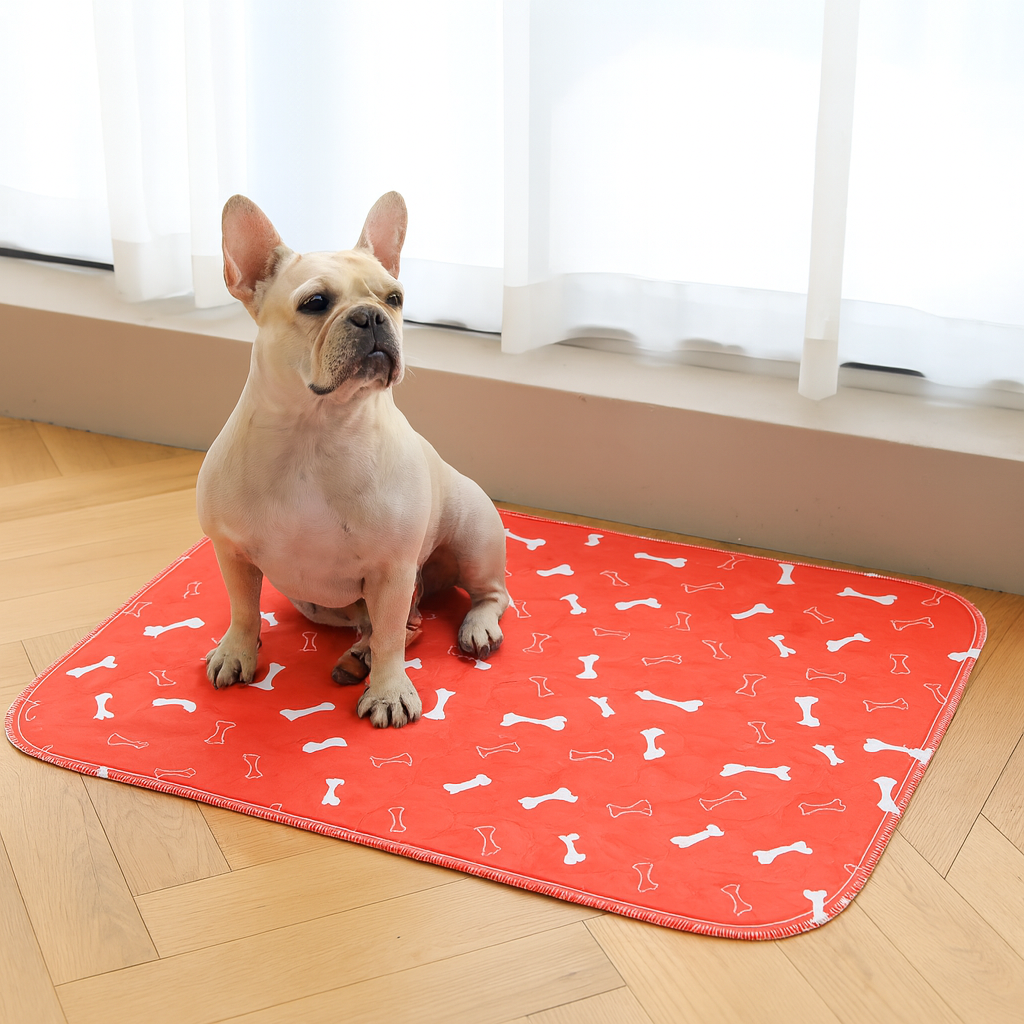 BloomPad 2.0 - The Pee Pad Dogs Actually Use