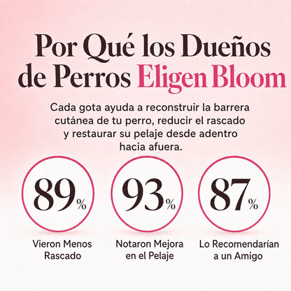 Bloom Triple Collagen 2026